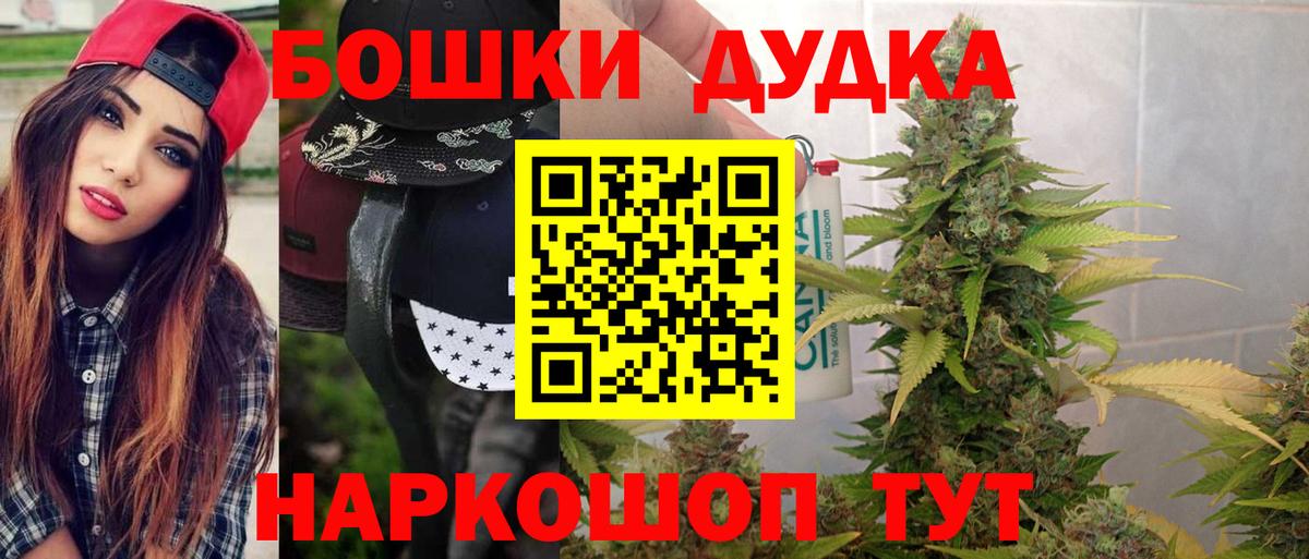 Конопля сатива  Канабис White Widow  Горно-Алтайск  Канабис план  Вход с VPN 